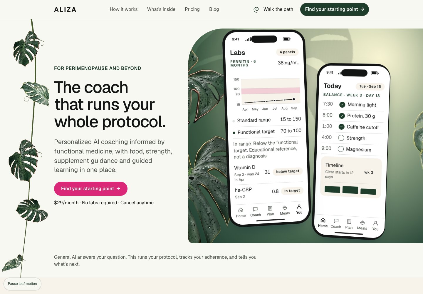 Preview of the Aliza website design.